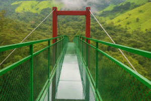 Glass Bridge in Wayanad Best Glass Bridges in India in Wayanad