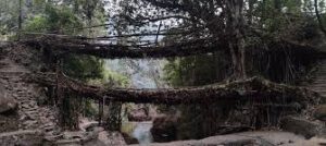 Umshiang Double Decker Root Bridge umshiang double decker living root bridges in meghalaya