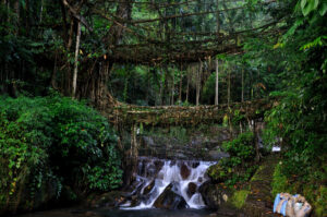 Nongriat Double Decker Bridge nongriat double decker living root bridges in meghalaya