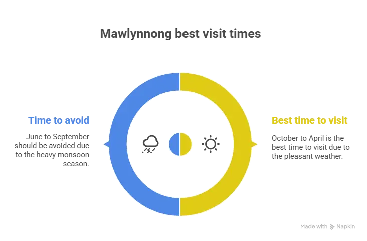 Best time to visit Mawlynnong Mawlynnong Village best time to visit