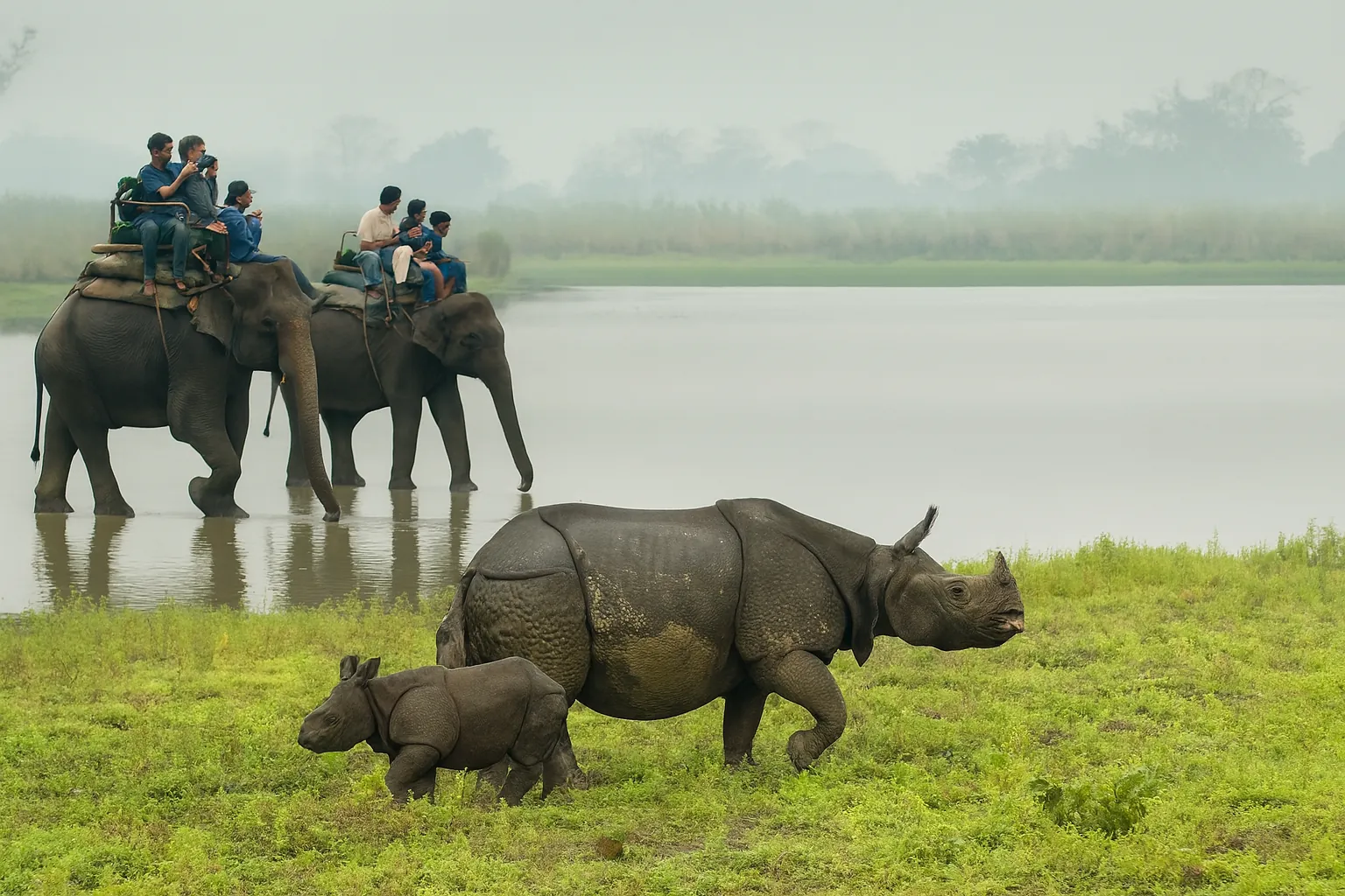 rhino tourism compressed rhino tourism compressed