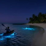 Lakshadweep Travel Guide: 7 Secrets of India’s Coral Paradise Lakshadweep Travel Guide