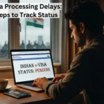 Indian e-Visa Processing Delays: 3 Simple Steps to Track Status Indian e-Visa Processing Delays