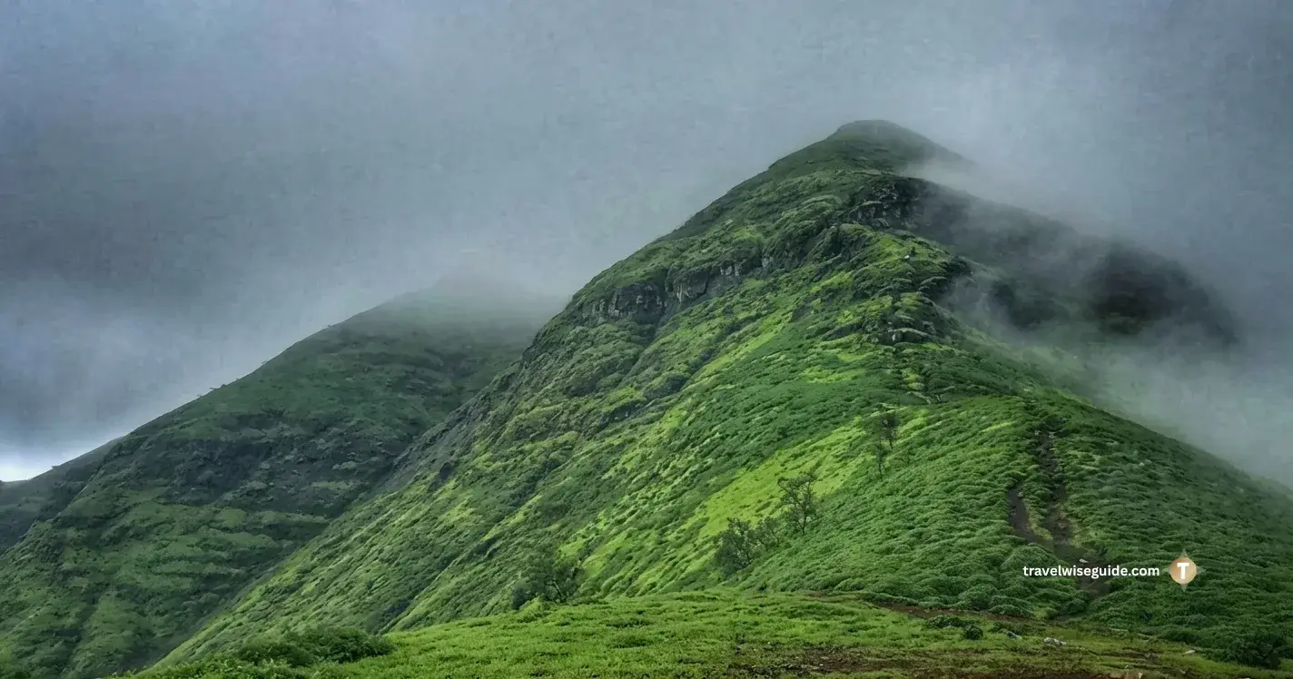 Tadiandamol Peak: Conquering Coorg's Majestic Heights Tadiandamol trail path leading along a steep green misty ridge.