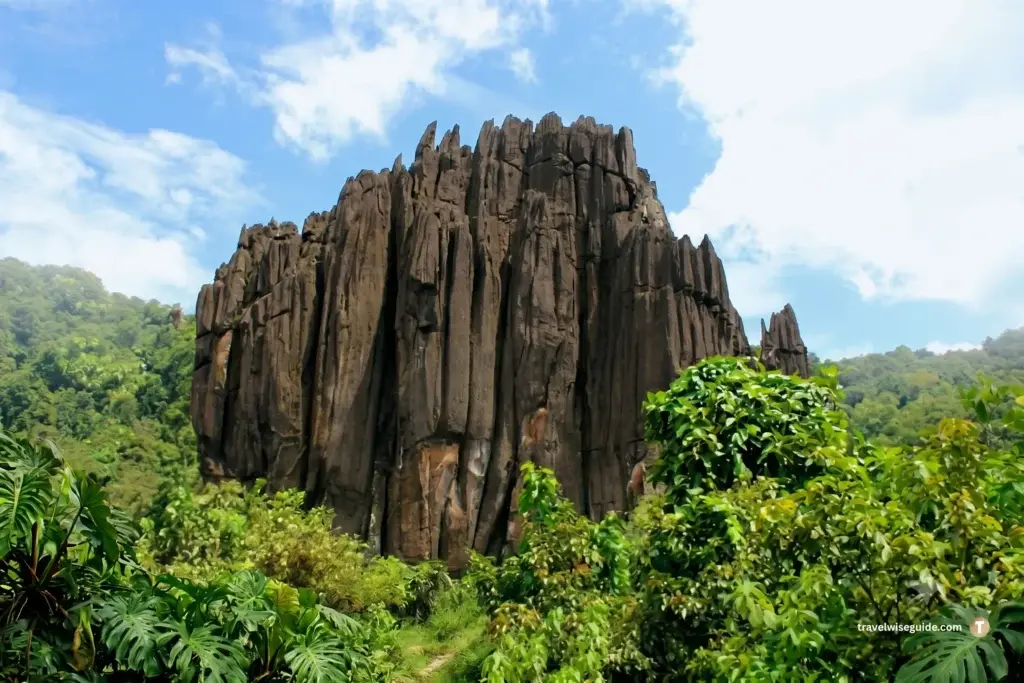 Yana Caves: A Unique Geological Wonder Yana Caves massive black rock formation surrounded by dense jungle.